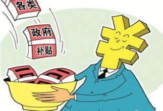 政府補(bǔ)貼