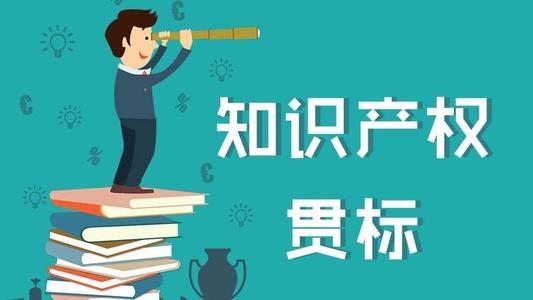 知識(shí)產(chǎn)權(quán)貫標(biāo)獎(jiǎng)勵(lì)