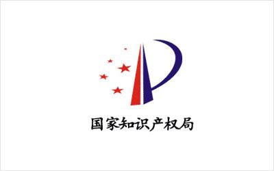 知識產(chǎn)權(quán)服務(wù)公司