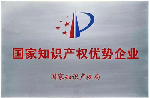 知識產(chǎn)權(quán)優(yōu)勢企業(yè)資助