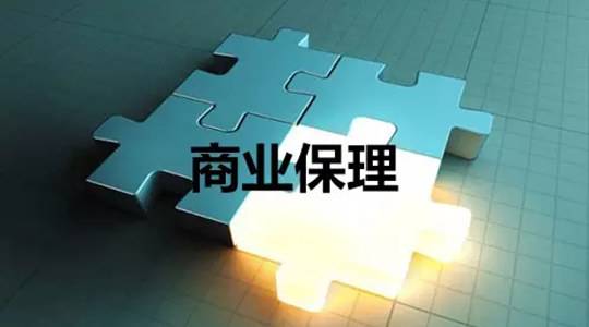 商業(yè)保理支持項目