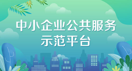 國家中小企業(yè)公共服務(wù)示范平臺認(rèn)定
