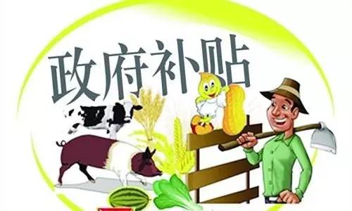 食用農(nóng)產(chǎn)品快檢點(diǎn)扶持補(bǔ)助