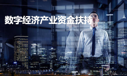 數(shù)字經(jīng)濟(jì)產(chǎn)業(yè)鏈關(guān)鍵環(huán)節(jié)提升扶持計(jì)劃