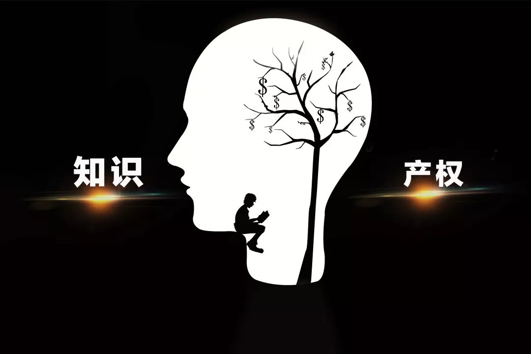 知識產(chǎn)權(quán)