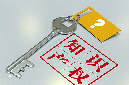 知識(shí)產(chǎn)權(quán)代理公司