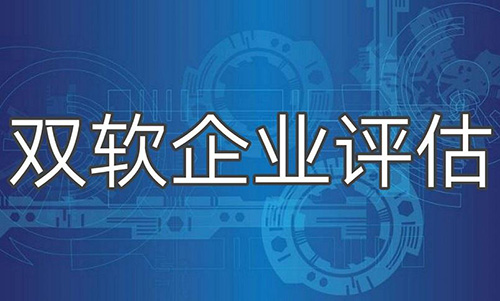 雙軟評估