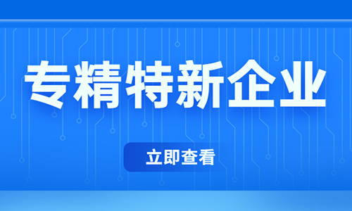 惠州創(chuàng)新型中小企業(yè)認定