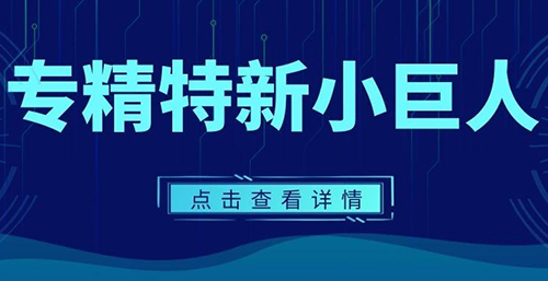 專精特新小巨人企業(yè)申報(bào)指南