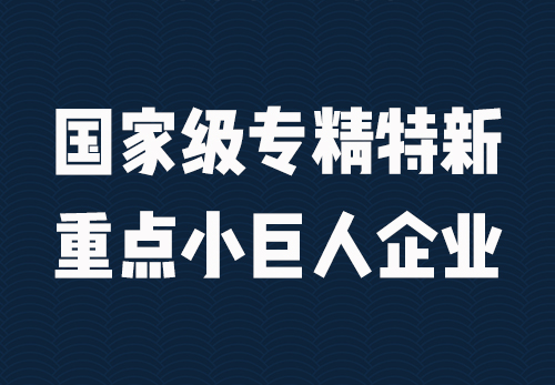 重點(diǎn)“小巨人”企業(yè)