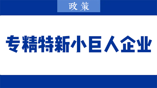 專精特新“小巨人“企業(yè)申報(bào)