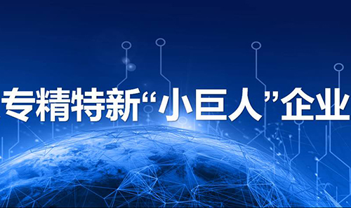 專精特新“小巨人”企業(yè)申報
