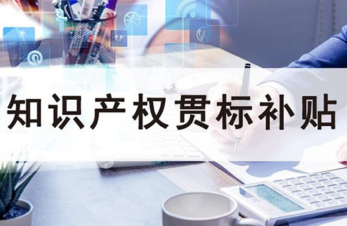 推行企業(yè)知識(shí)產(chǎn)權(quán)管理規(guī)范企業(yè)資助