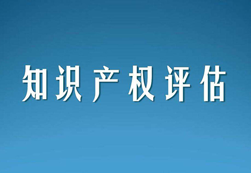 知識產(chǎn)權(quán)評估
