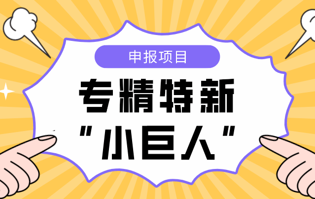 深圳國(guó)家級(jí)專精特新小巨人企業(yè)認(rèn)定