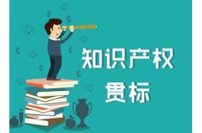 如何把貫標知識產(chǎn)權變成“產(chǎn)錢”