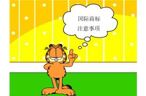進軍國際市場時，注冊國際商標需要注意什么？