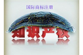 國際商標(biāo)注冊哪家好？？以及國際商標(biāo)注冊所有知識點！！【鼎智知識產(chǎn)權(quán)】