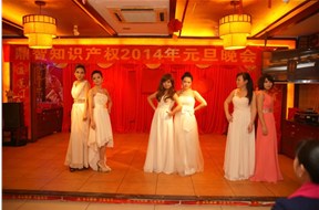 熱烈祝賀公司2014年元旦晚會圓滿成功