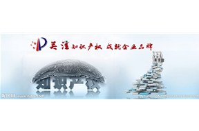 深圳市龍華新區(qū)知識產(chǎn)權(quán)、品牌、標(biāo)準(zhǔn)化