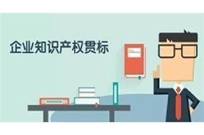 知識(shí)產(chǎn)權(quán)貫標(biāo)認(rèn)證的意義
