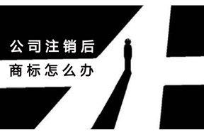 公司注銷了，商標(biāo)該去哪兒？——國際商標(biāo)注冊