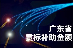 ? 廣東省知識(shí)產(chǎn)權(quán)貫標(biāo)補(bǔ)貼政策