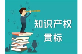 ?小企業(yè)不適合知識(shí)產(chǎn)權(quán)貫標(biāo)？鼎智分析給你看！
