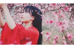 “網(wǎng)紅”應(yīng)如何進(jìn)行商標(biāo)布局？需要下好商標(biāo)先手棋
