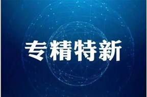 2020年深圳市專精特新中小企業(yè)遴選項目申報指南