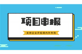 2020年深圳龍華區(qū)企業(yè)開拓境內(nèi)外市場(chǎng)資助申報(bào)指南