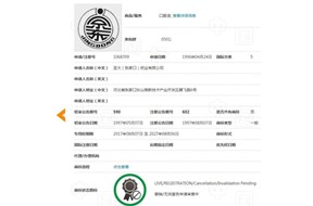 究竟是什么原因讓京東對“京東大藥房”商標無可奈何