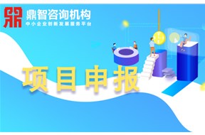 關(guān)于2020年廣東省重點農(nóng)業(yè)龍頭企業(yè)項目申報指南