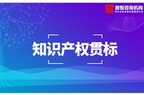 知識(shí)產(chǎn)權(quán)貫標(biāo)其作用及優(yōu)勢(shì)