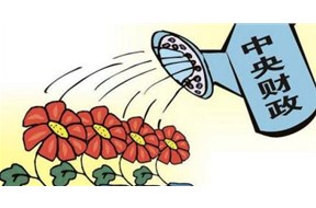 關(guān)于政府項(xiàng)目的相關(guān)知識(shí)科普