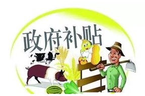 關(guān)于龍崗區(qū)2020年度和諧勞動關(guān)系企業(yè)認定申報指南