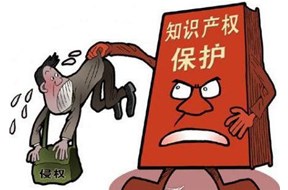 2020年深圳市知識(shí)產(chǎn)權(quán)維權(quán)項(xiàng)目資助申報(bào)指南