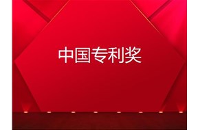 2020年深圳龍崗區(qū)專利獎(jiǎng)獎(jiǎng)勵(lì)申報(bào)指南