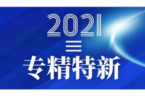 2021年深圳市“專精特新”中小企業(yè)公共服務(wù)示范平臺遴選申報指南