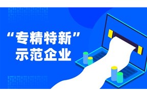 2021年廣東省專精特新中小企業(yè)遴選申報指南