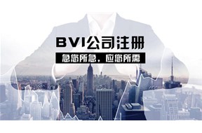 BVI公司注冊(cè)都有哪些優(yōu)勢(shì)？