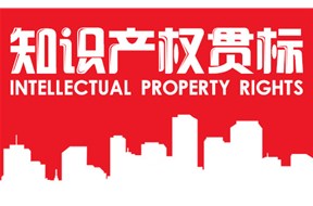 2023年深圳市《企業(yè)知識產(chǎn)權(quán)管理規(guī)范》貫標(biāo)資助申報(bào)指南