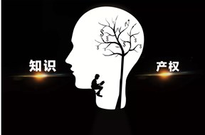 知識產(chǎn)權(quán)都有什么特點？