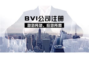 BVI公司注冊(cè)流程詳解