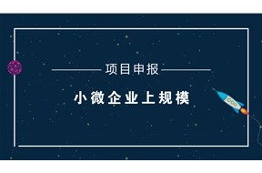 2022年深圳光明區(qū)“小升規(guī)”獎(jiǎng)勵(lì)項(xiàng)目申報(bào)指南