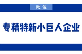 2022年惠州市第四批專精特新“小巨人”企業(yè)推薦申報指南