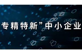 2022年東莞市專精特新中小企業(yè)申報條件