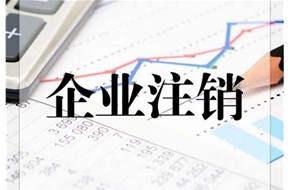 公司注銷的原因有哪些？
