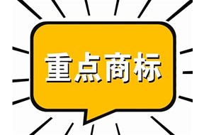 2022年廣東省重點(diǎn)商標(biāo)保護(hù)名錄申報(bào)指南