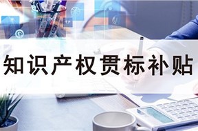 2022年深圳龍華區(qū)推行企業(yè)知識(shí)產(chǎn)權(quán)管理規(guī)范企業(yè)資助申報(bào)指南
